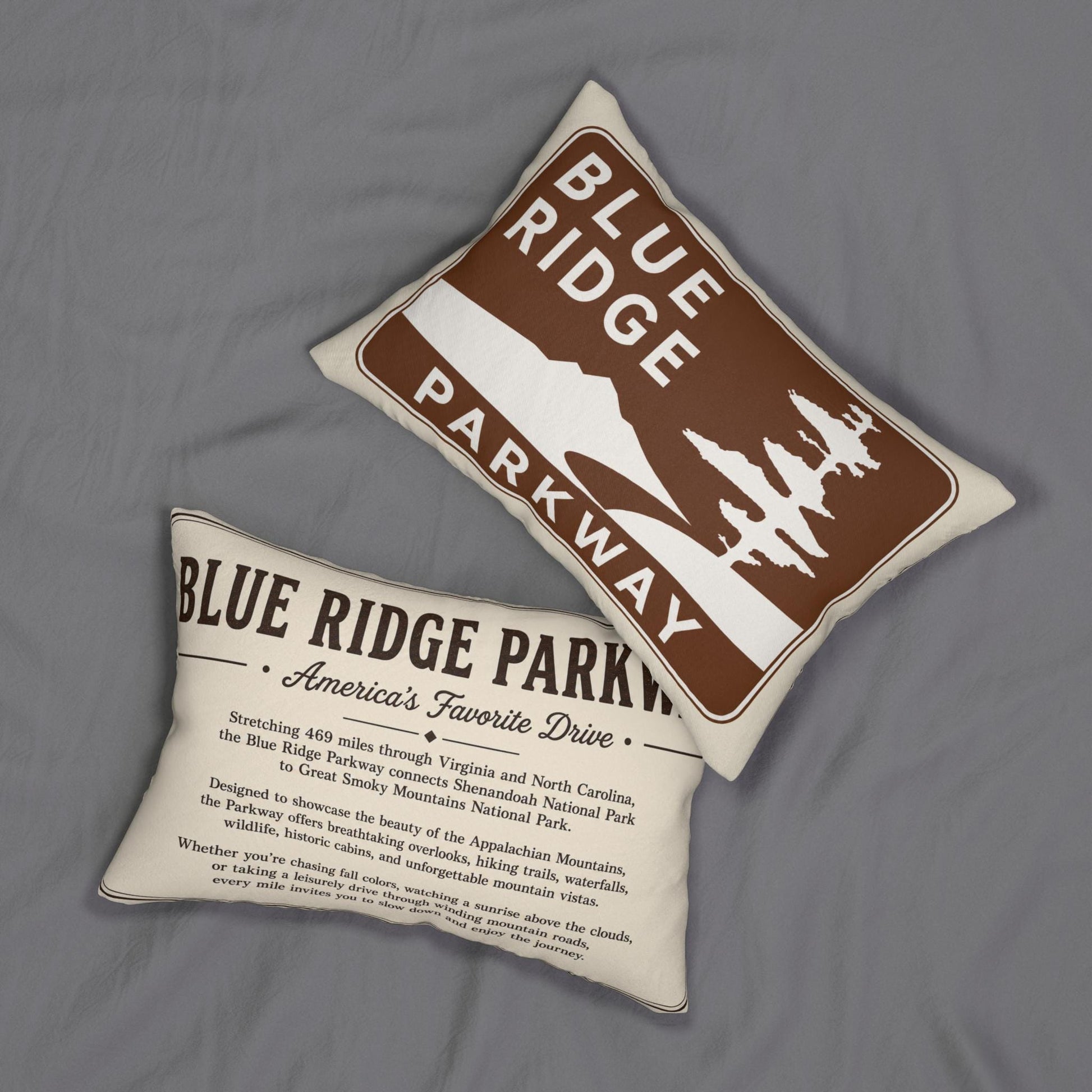 Blue Ridge Parkway Vintage National Park Sign Lumbar Pillow | Mountain Cabin Decor