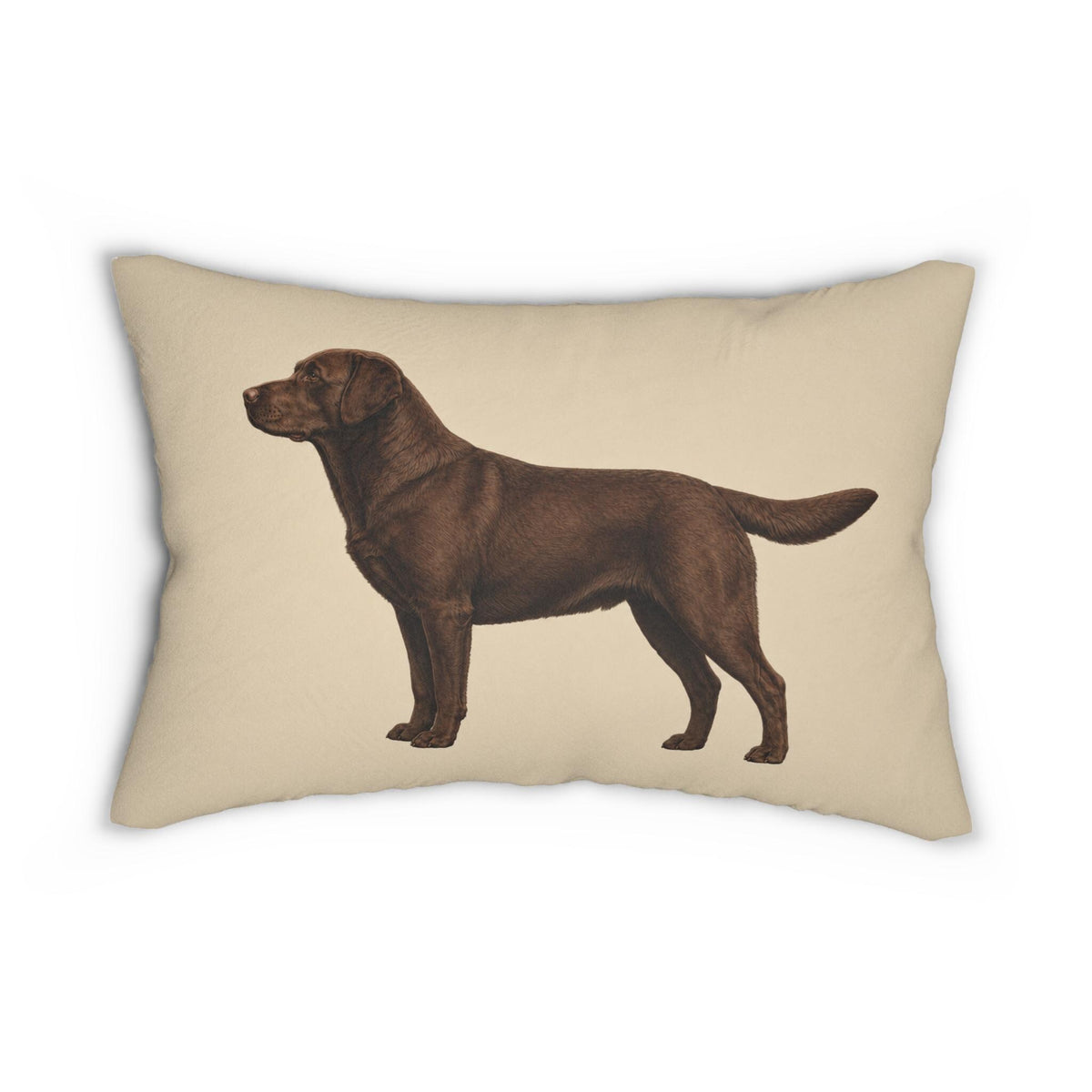 Chocolate Labrador Illustration Lumbar Pillow | Dog Breed Throw Pillow