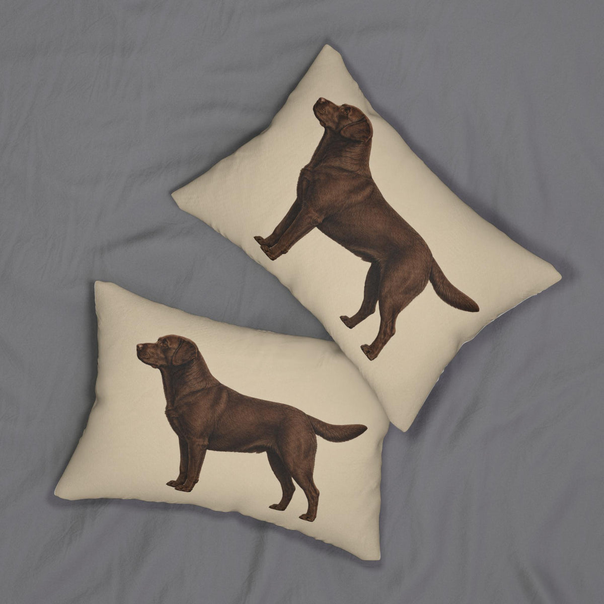 Chocolate Labrador Illustration Lumbar Pillow | Dog Breed Throw Pillow